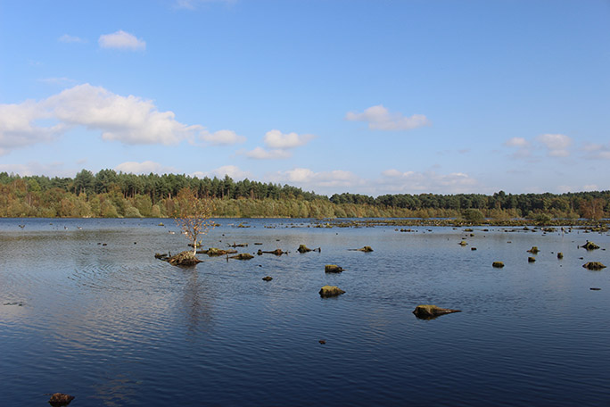 MA TESOL and MA Applied Linguistics trip to Beeston and Delamere