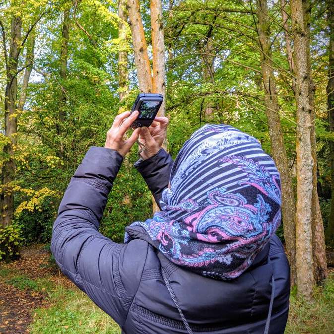 Woman taking photo of a tree