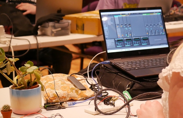 Photograph of a plant wired to a laptop