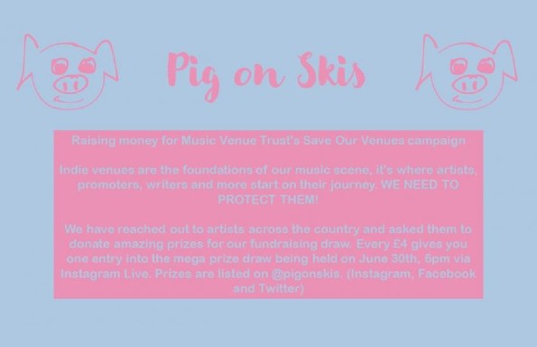 Pig on Skis