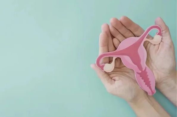 Menstrual Health Conditions: Experience and Expertise