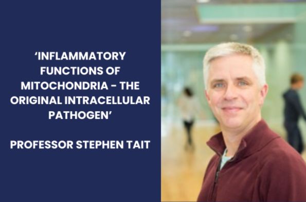 Prof Stephen Tait