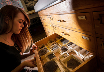 A student views a collection of geological samples