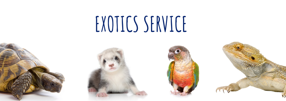 Exotics Service