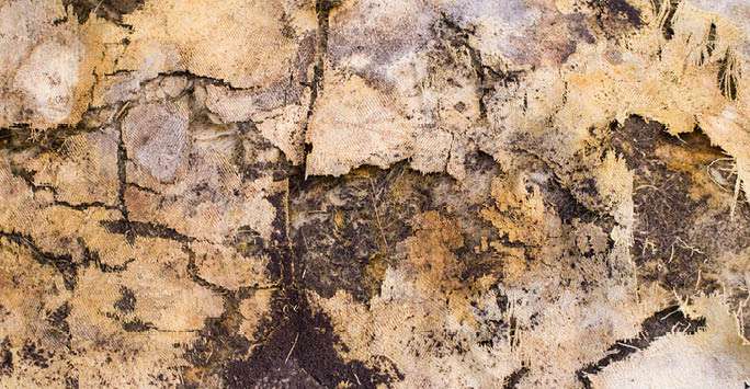Flakey paint on a wall portraying ageing.