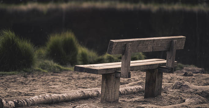 A solitary bench surrounded by trees.