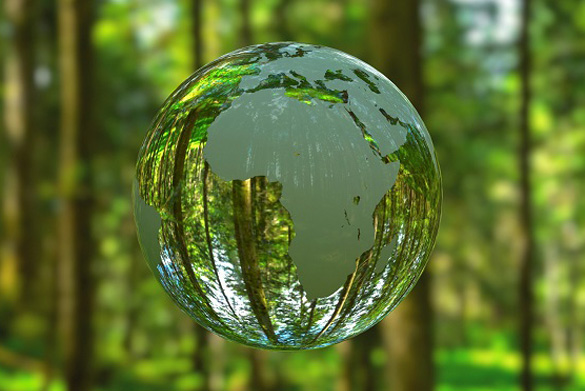 A globe set against a forest backdrop.
