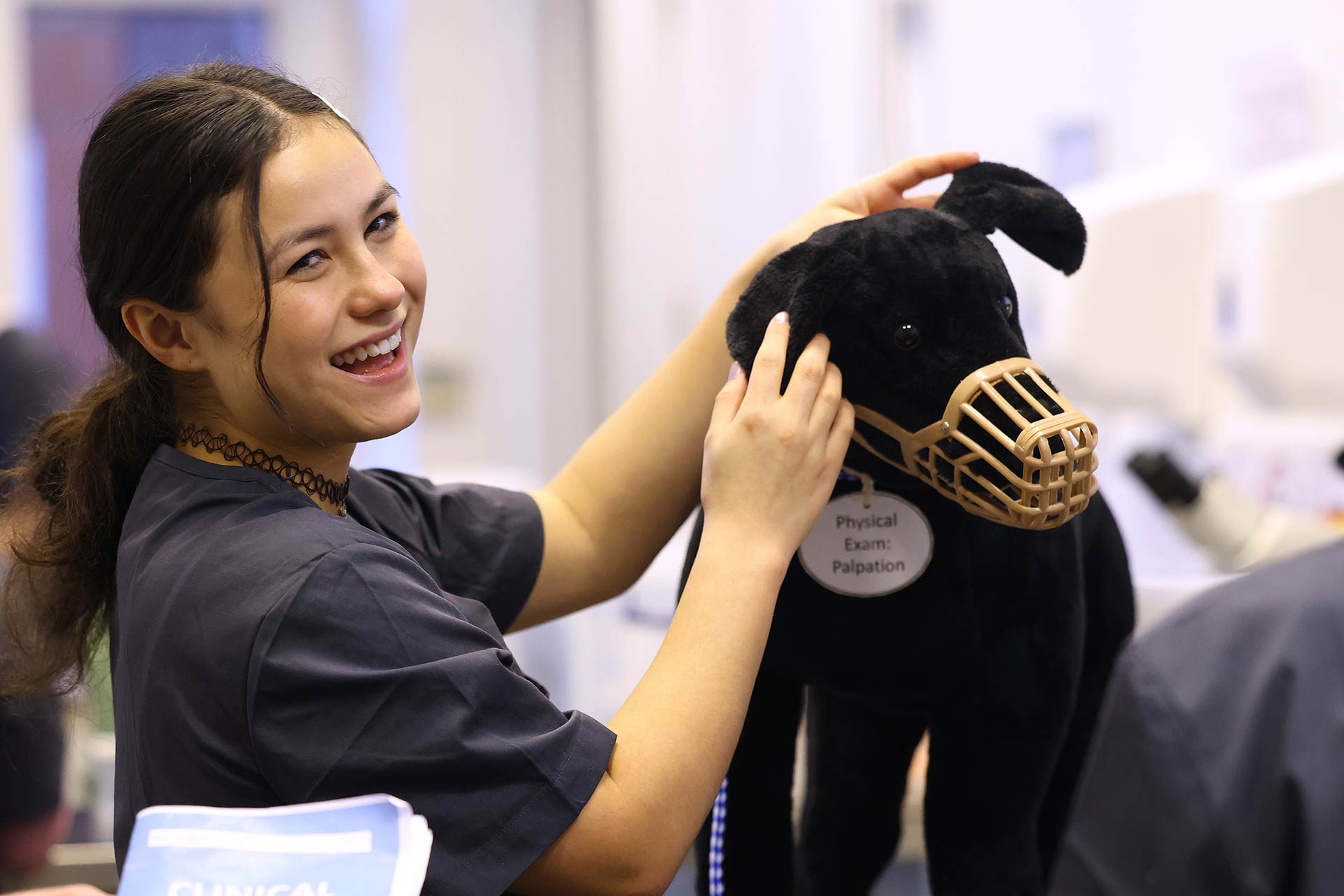 Vets students with a dog.