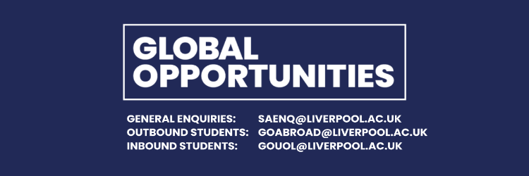 Global Opportunities Email Addresses