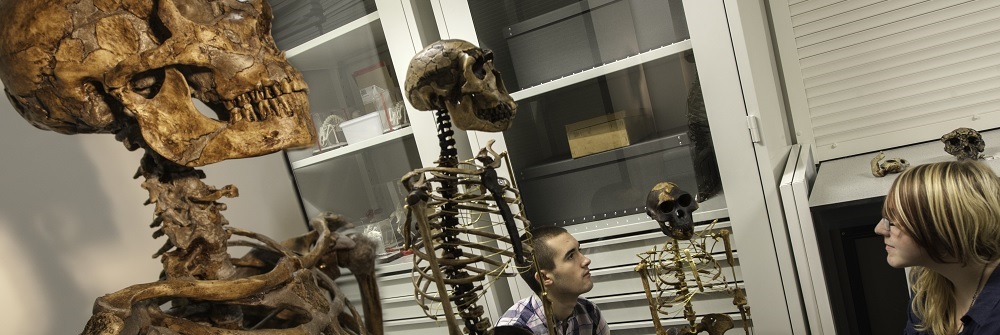 Paleoanthropology MRes study page banner image Paleoanthropology MRes study page banner image