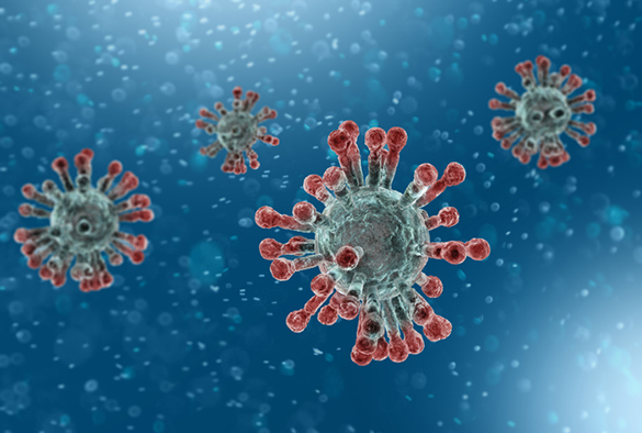 Coronavirus image