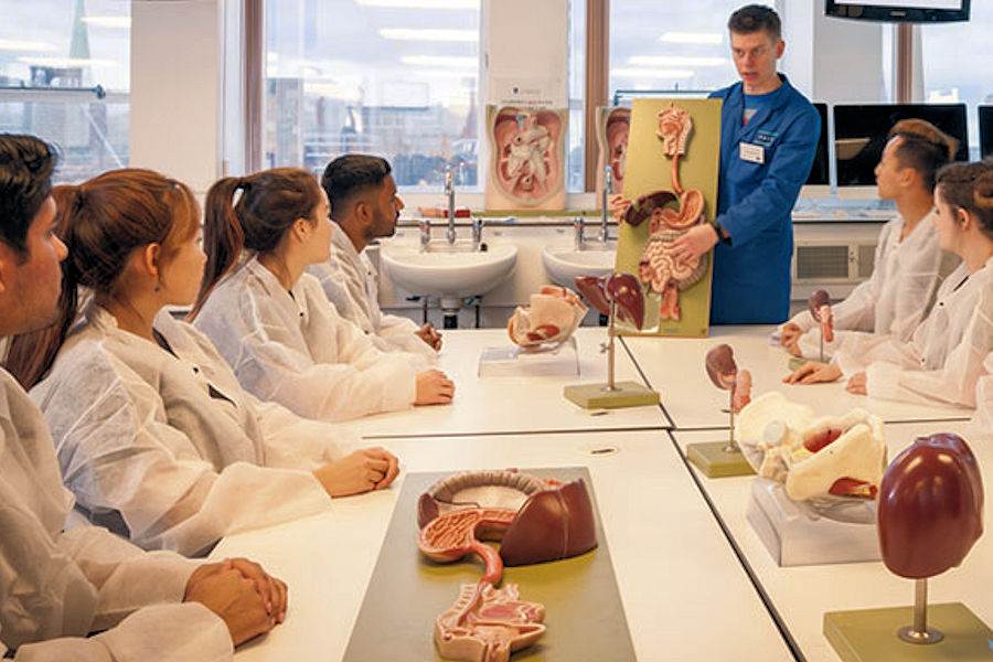 Medical students in room with teacher showing them models