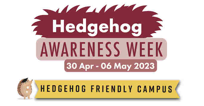 Hedgehog Awareness Week: Our hedgehog friendly campus