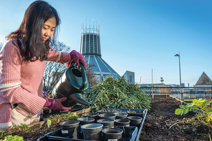 A girl watering plants in front of the cathedral in Liverpool