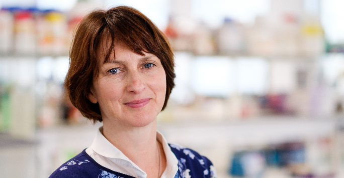 Spotlight: Professor Eithne Costello - pancreatic cancer research