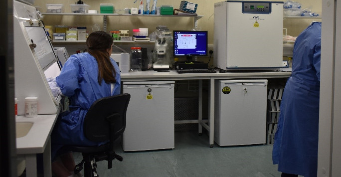 Rebecca in action in the CL3 laboratories
