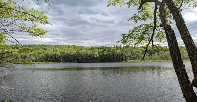 Lysosomes and lake swimming in New Hampshire