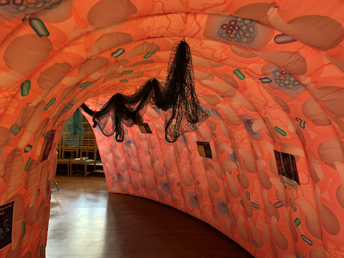 An inflatable gut showing how food is digested.