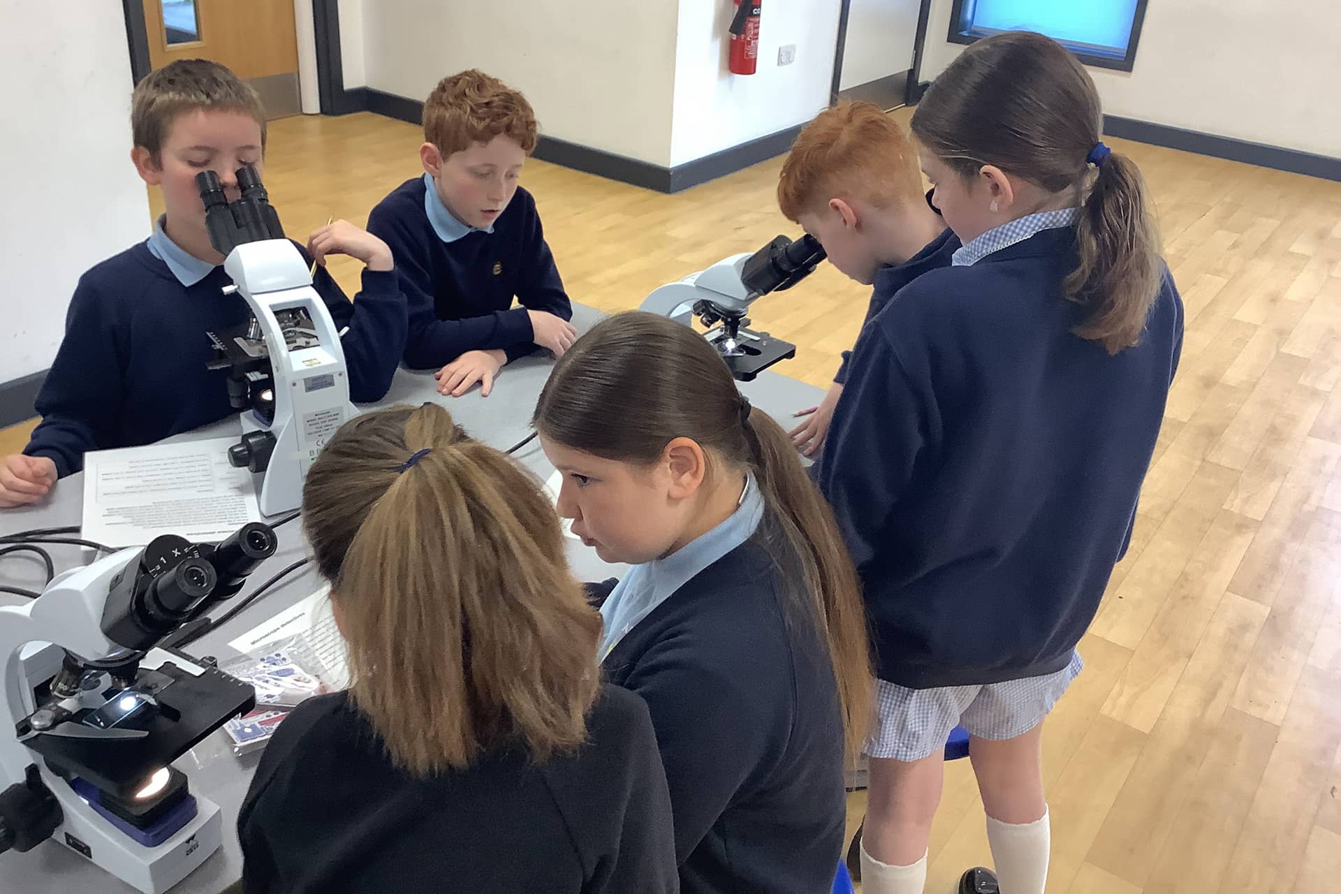 School aged children using microscopes