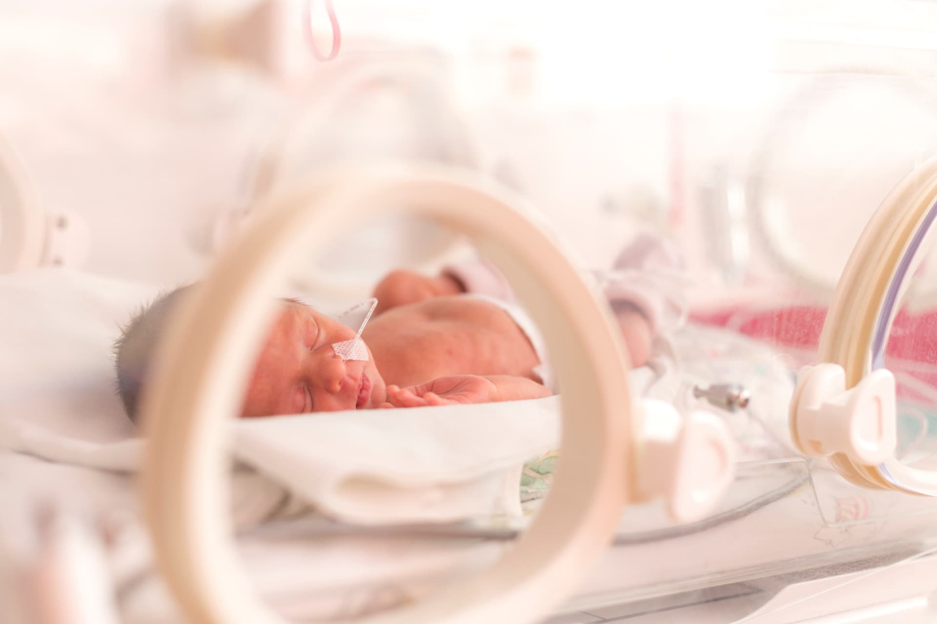 A premature baby sleeping in an incubator