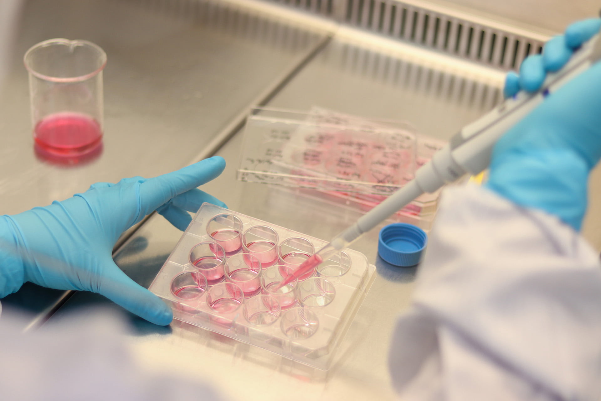 Scientist pipetting in lab