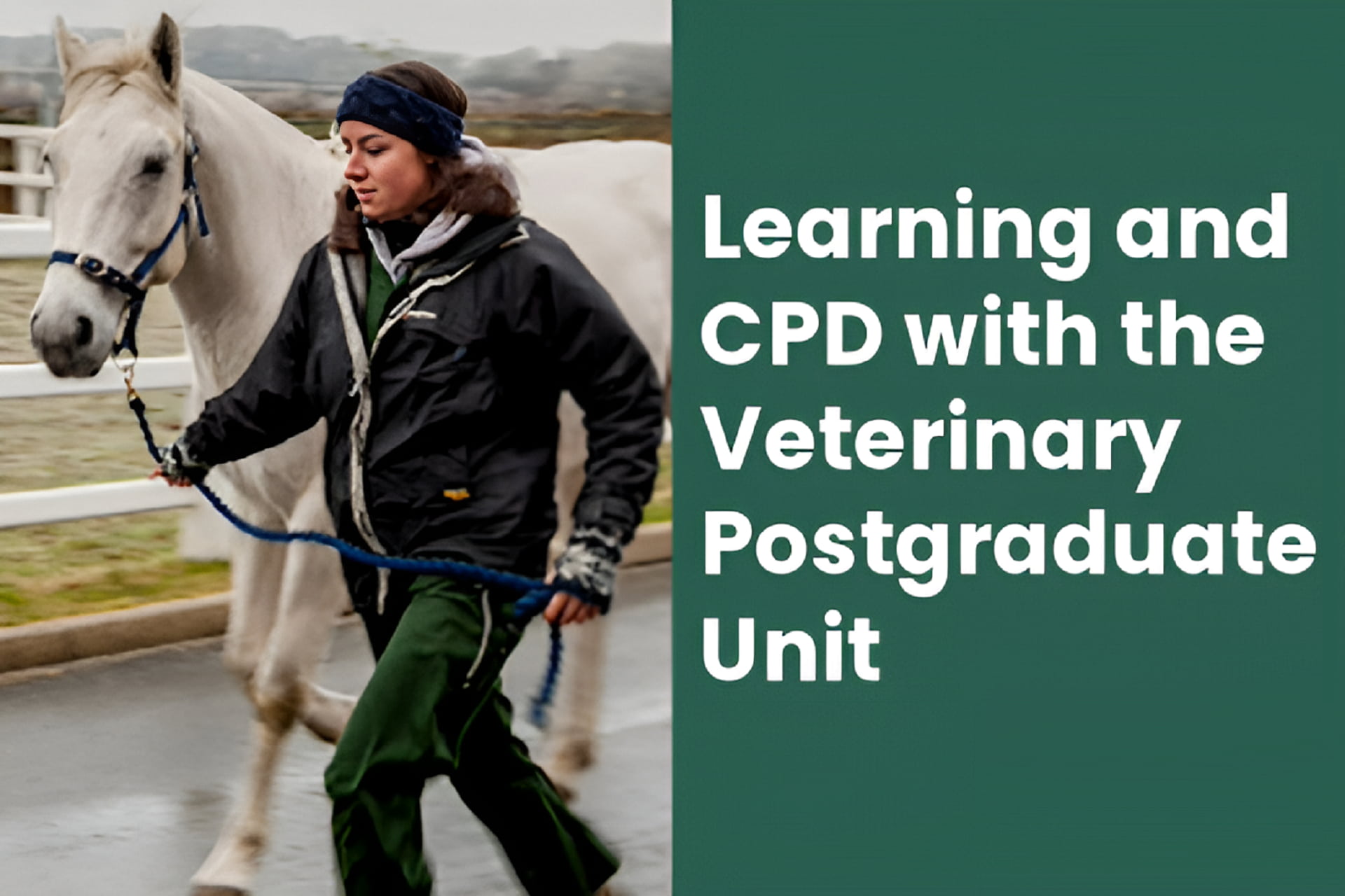 Vet School CPD