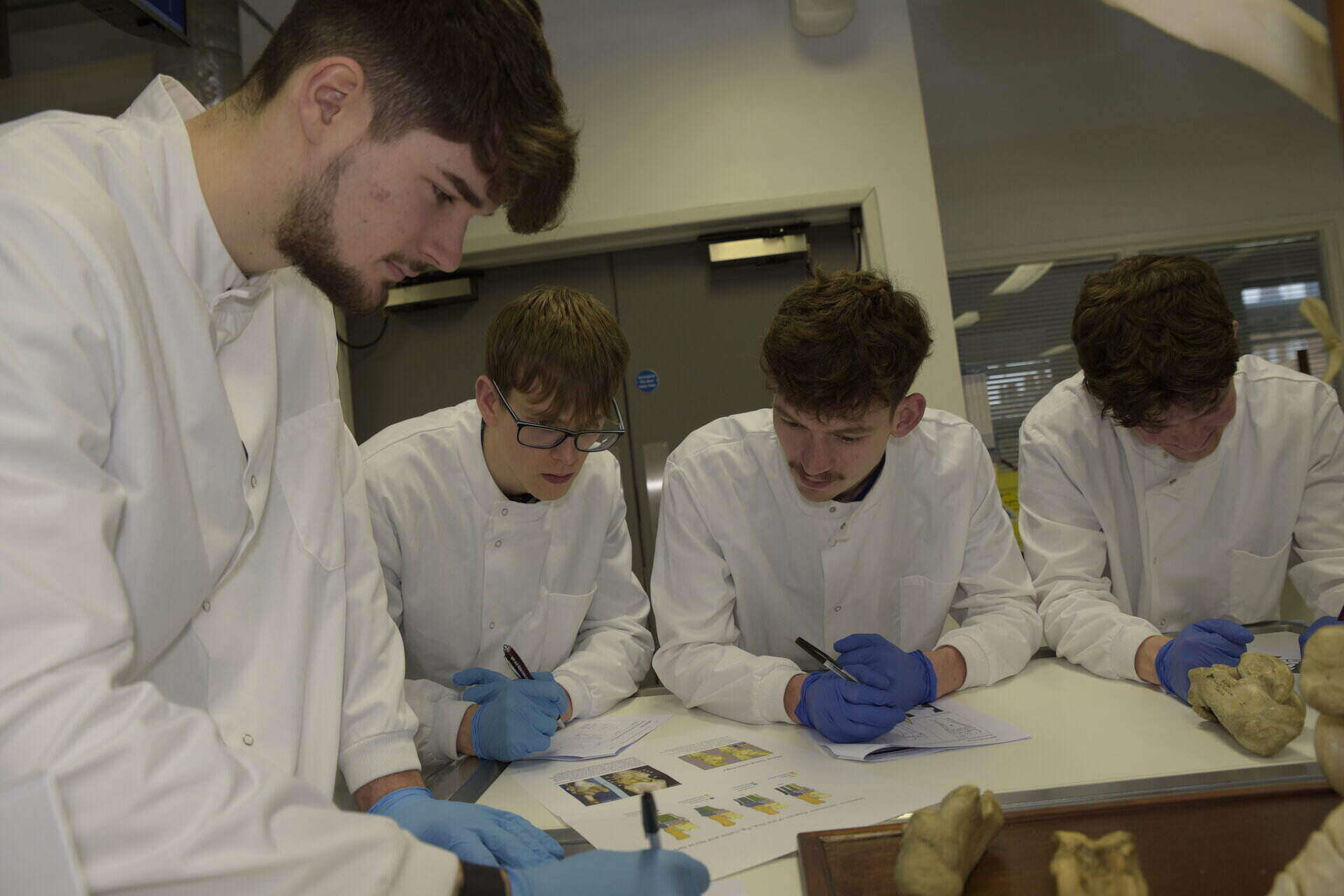 Students looking at bones