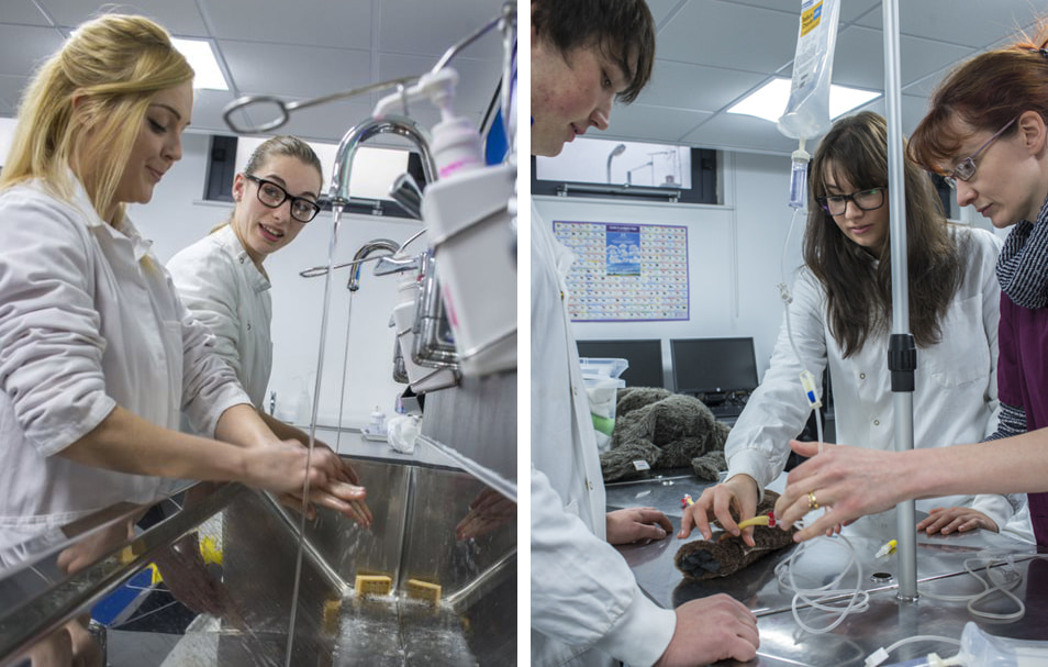 students in our clinical skills lab