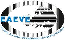 eaeve logo