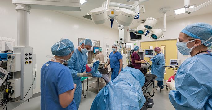 Students learning at teaching hospital