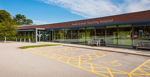 Small animal teaching hospital