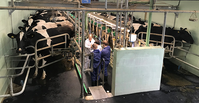 school children at dairy farm