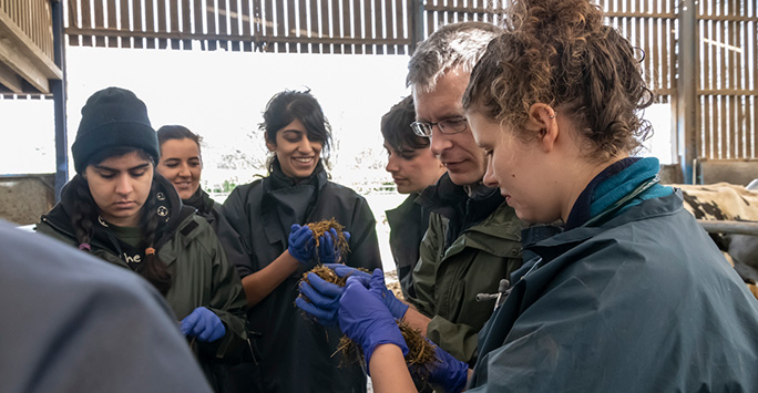 Students looking at forage with lecturer