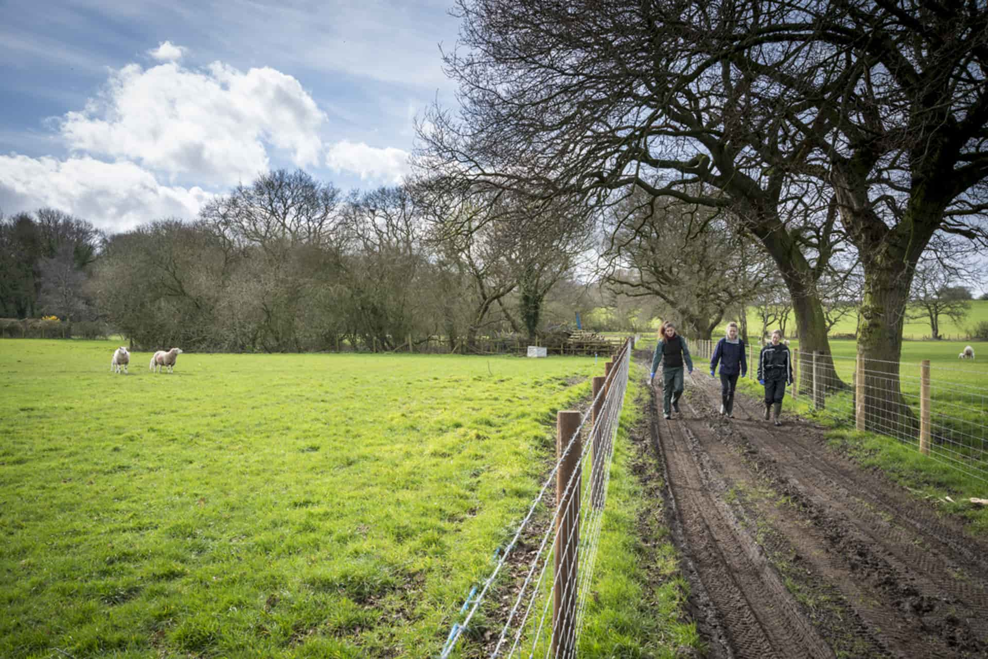 students walking along side of field