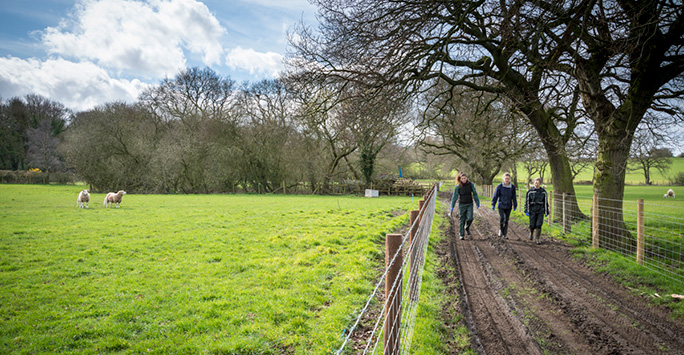 students walking in field