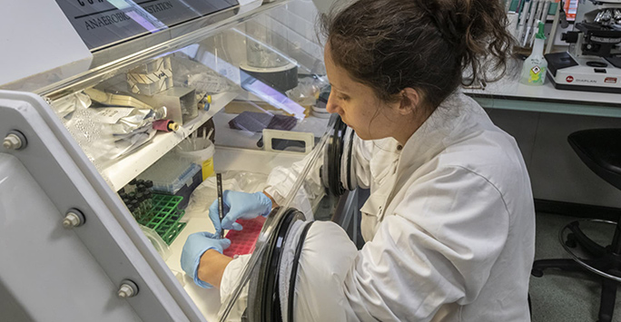 student working in the lab