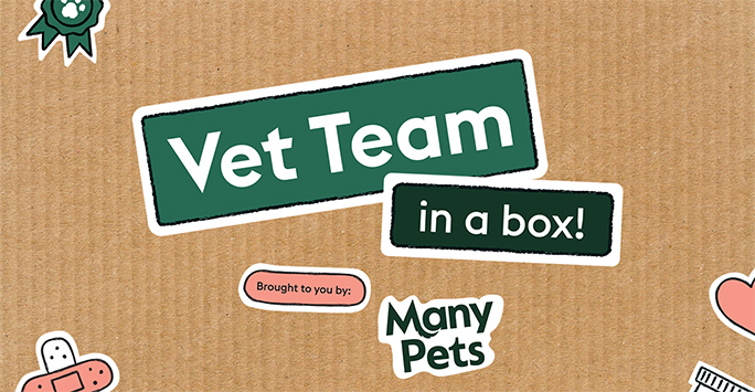 Vet team in a box