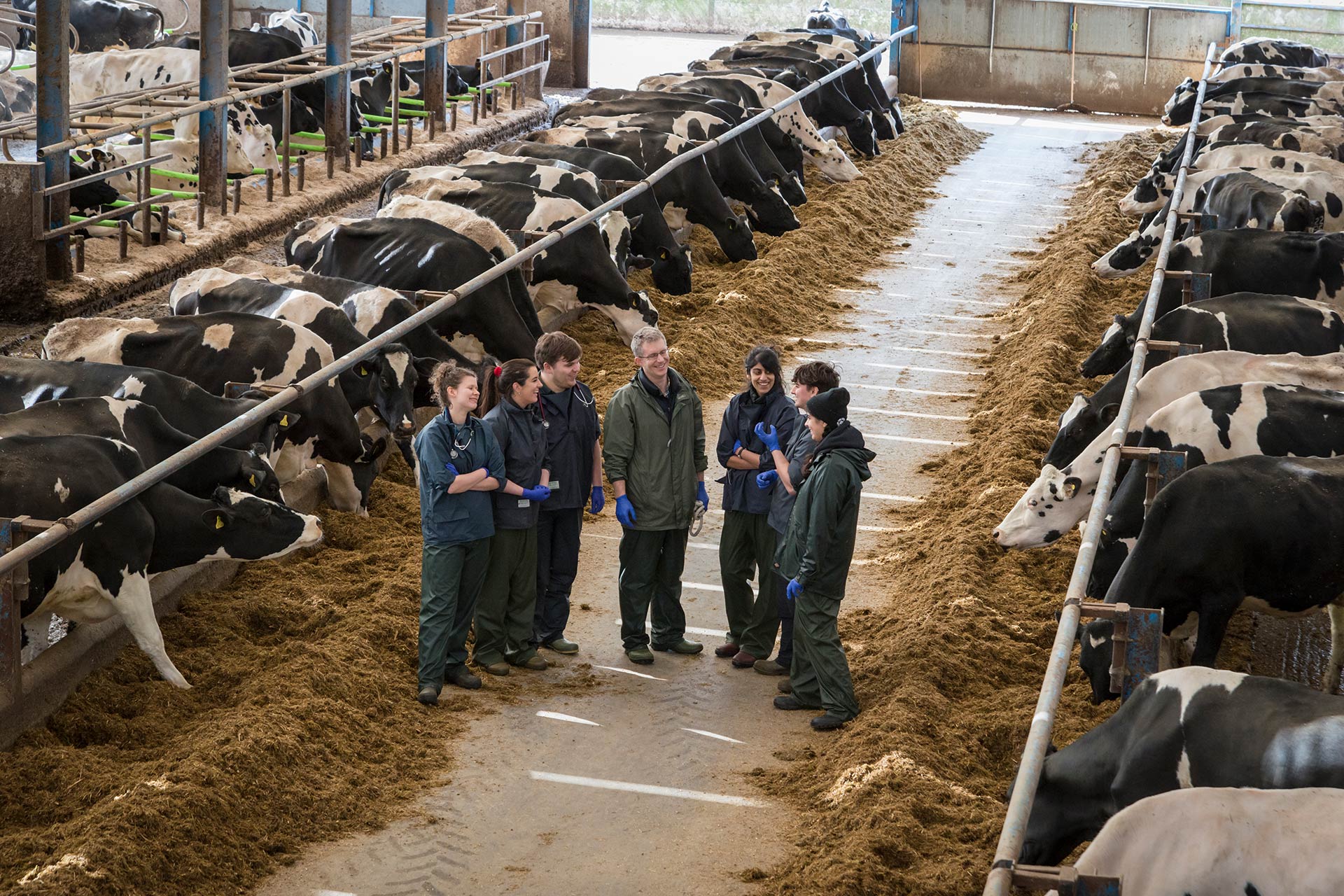 Students at Dairy Farm