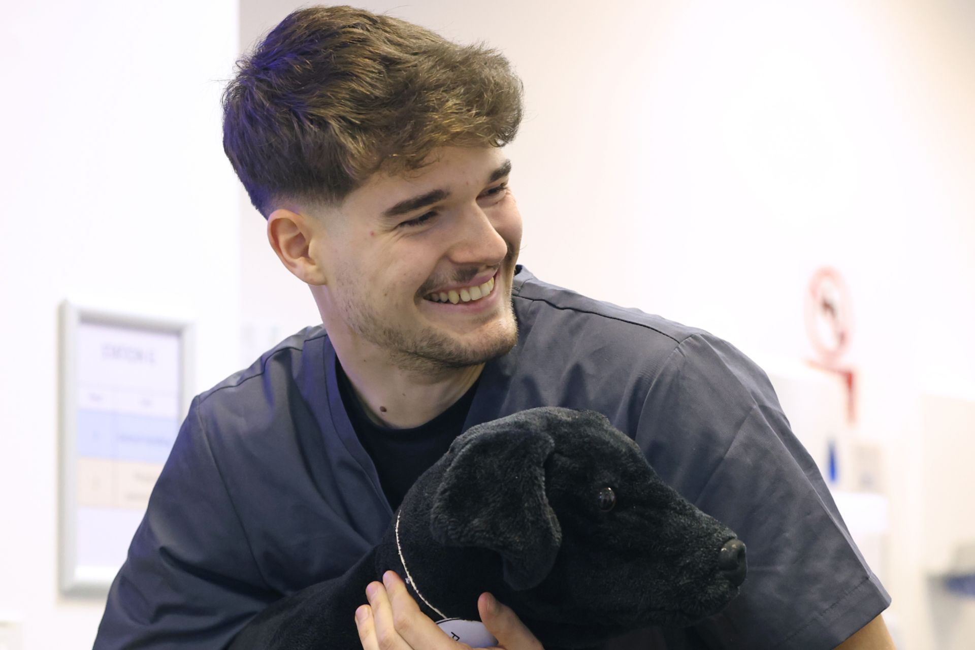 A vets student working on a model animal