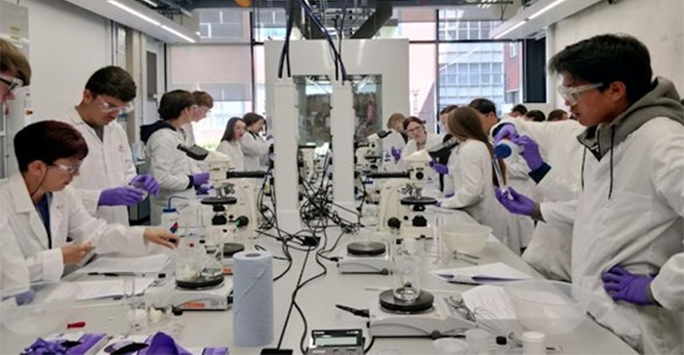 Students working together in a lab