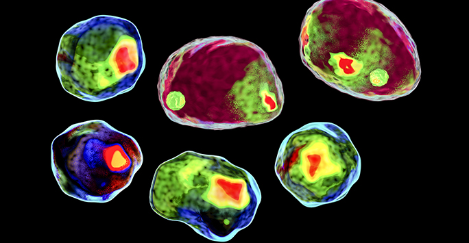 Human cell, colored in a new diagnostic technique, imaging flow cytometry style, 3D illustration