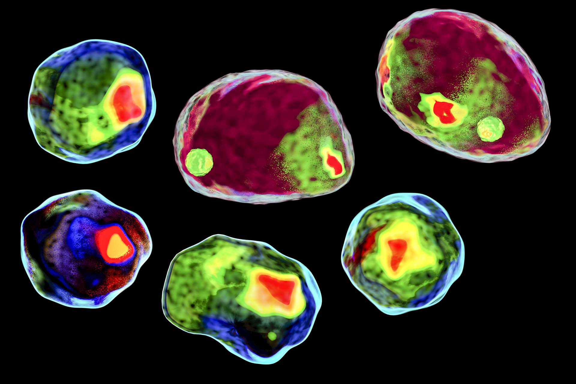 Human cell, colored in a new diagnostic technique, imaging flow cytometry style, 3D illustration