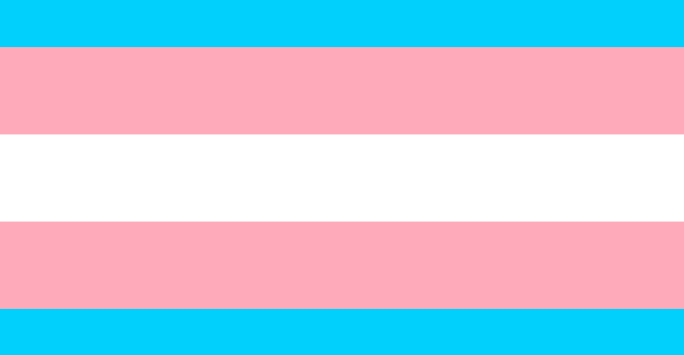 trans flag