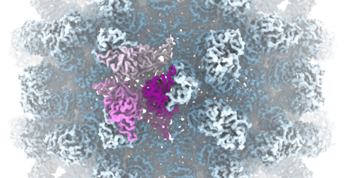 Abstract image of Virus proteomics