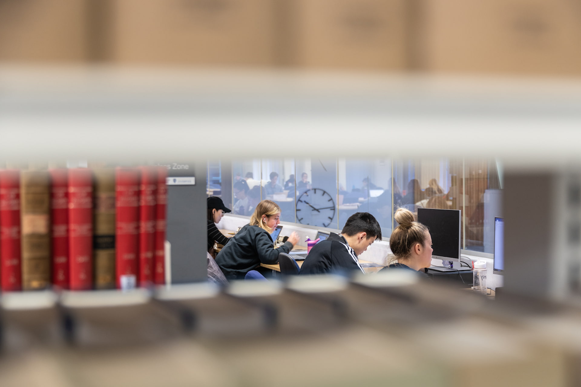 Students studying in the library at computer desks