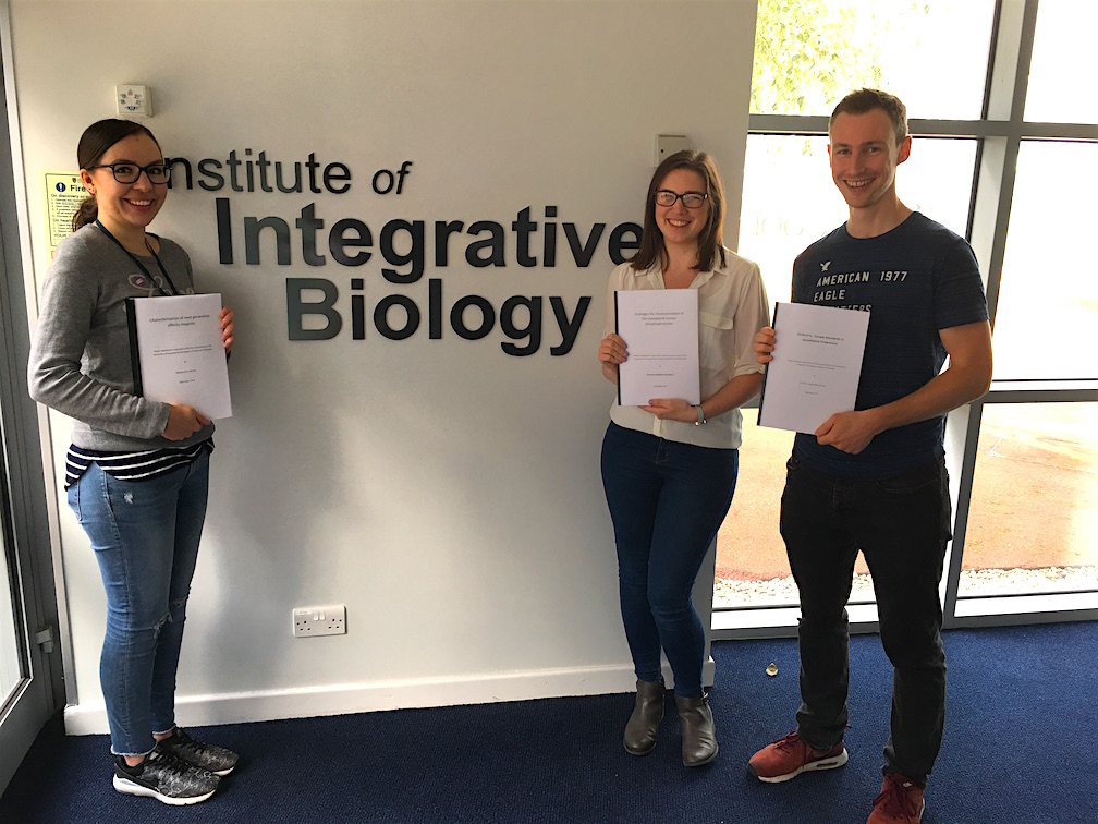 University of liverpool thesis repository image