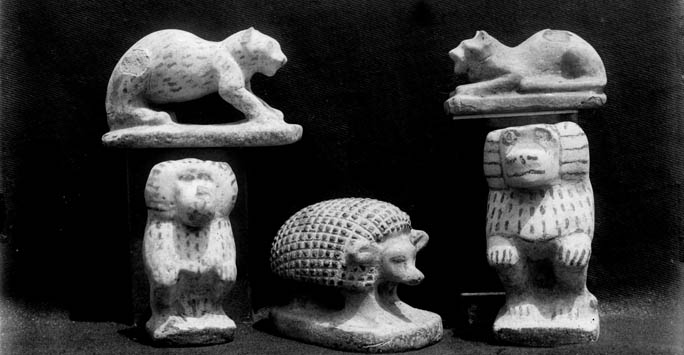 Garstang Museum blog