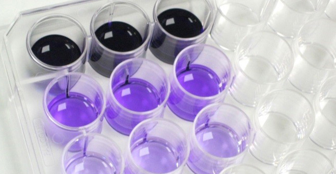 A tray holding a glass container filled with purple liquid, showcasing a vibrant and intriguing color contrast.