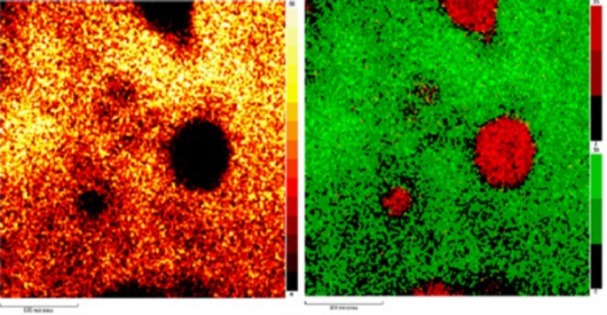 Two images of the same landscape displayed side by side, showcasing contrasting color palettes for visual comparison.