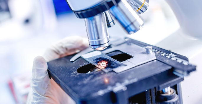 A person wearing gloves is carefully holding a microscope, preparing for scientific examination or research.